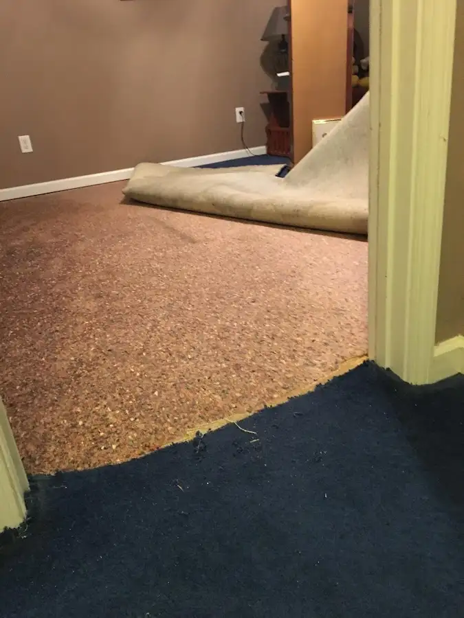 Carpet pad removal revealing water damage during Water Mitigation Services in Warren